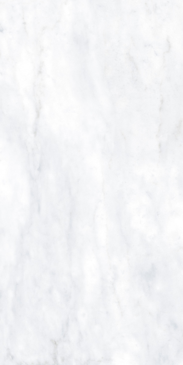 Керамическая плитка BIANCO BERNINI NAT RETT. 10MM	60X120 арт. 84613