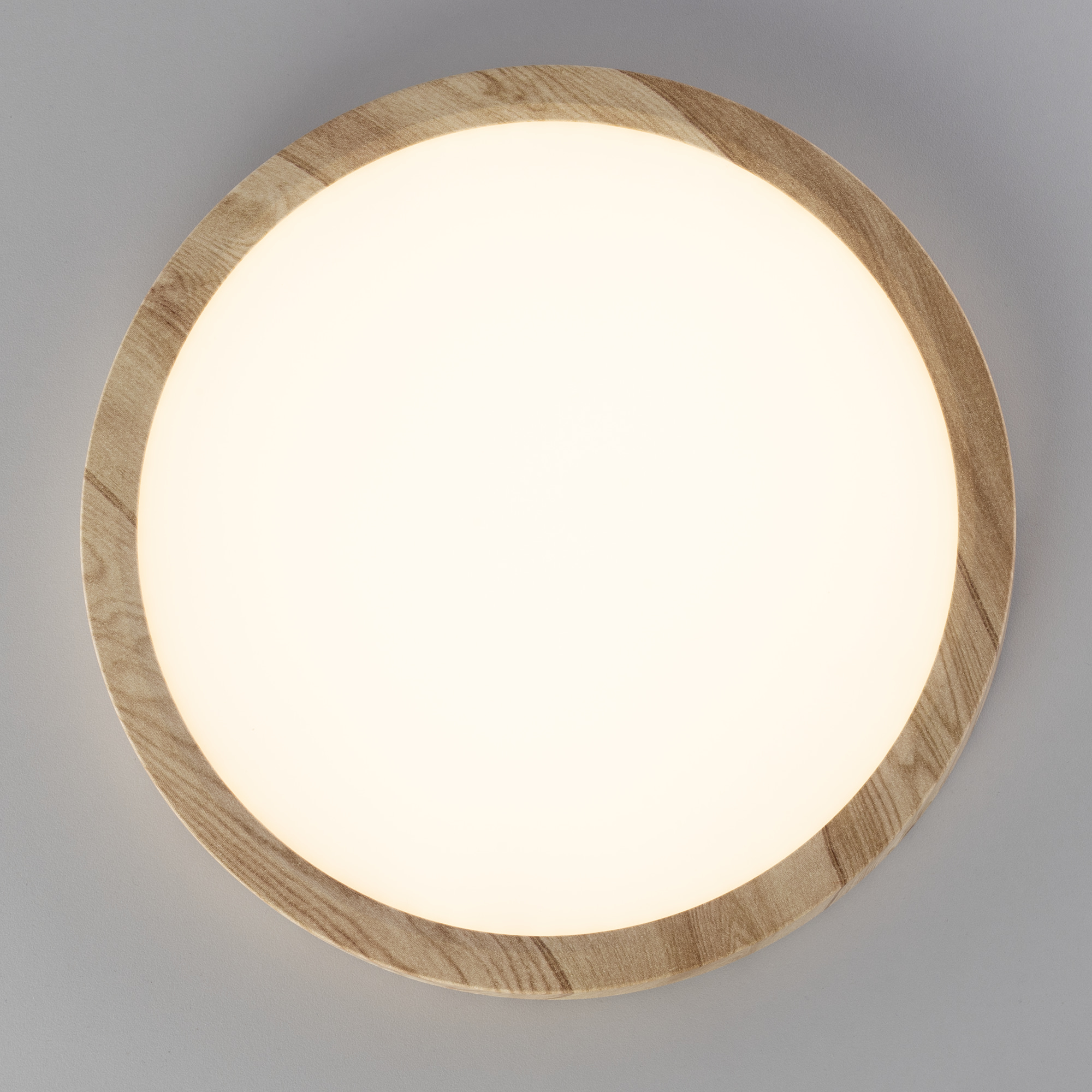 Citilux Бейсик CL738182V LED Светильник накладной Клён арт. 89193