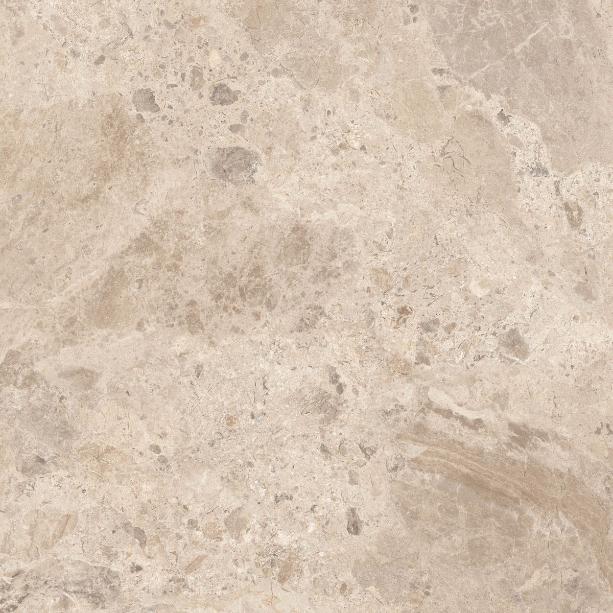 Керамический гранит  ERA BLOOM. TAUPE NAT R120X120 арт. 126252