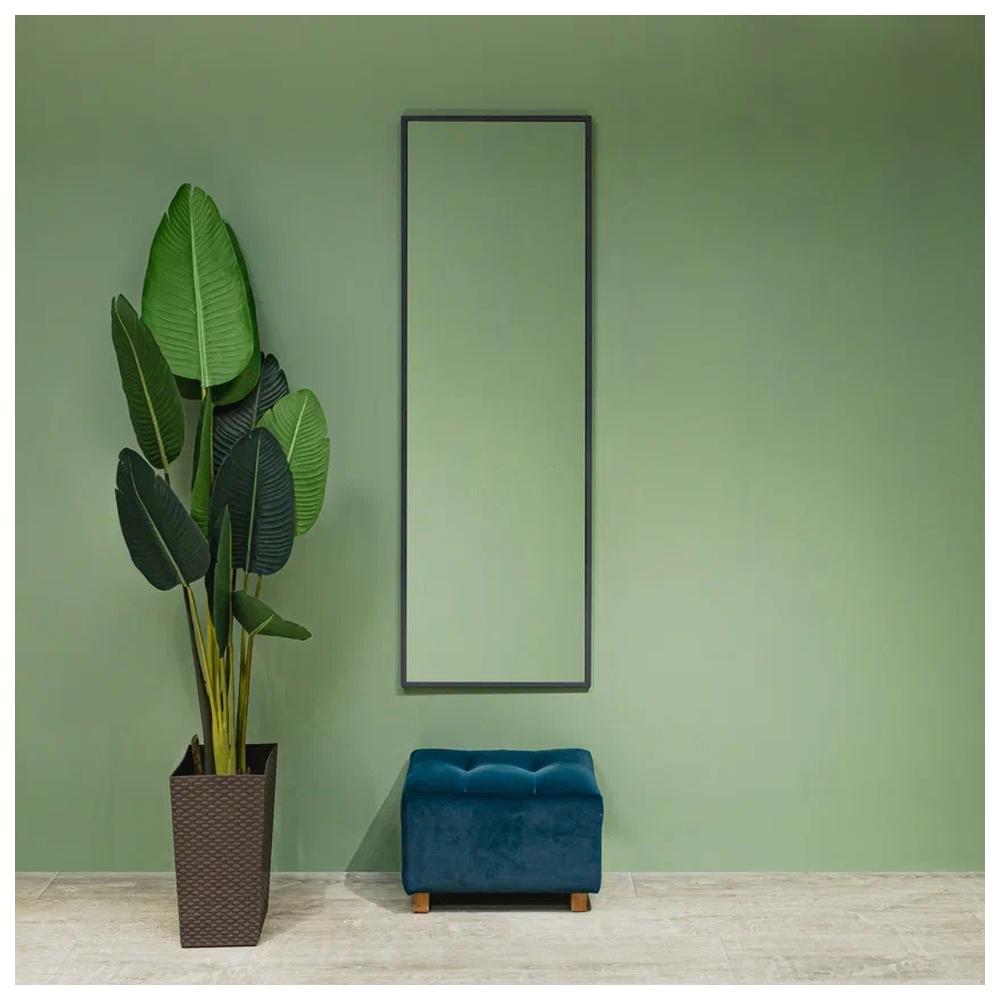 Зеркало Silver Mirrors Basis 500х1500 (металлическая рама, цвет графит) арт. 179093