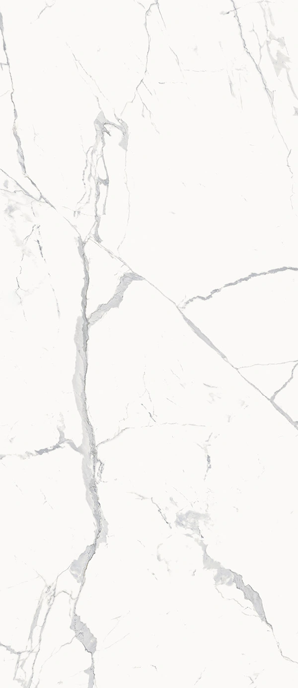 STE.STATUARIO WHITE 120X278 арт. 58465
