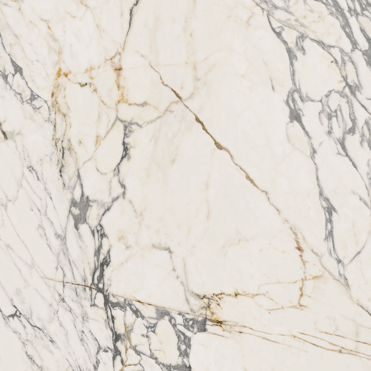 Керамогранит EPOQUE 21 ARABESCATO NAT RET 80X80 арт. 85237