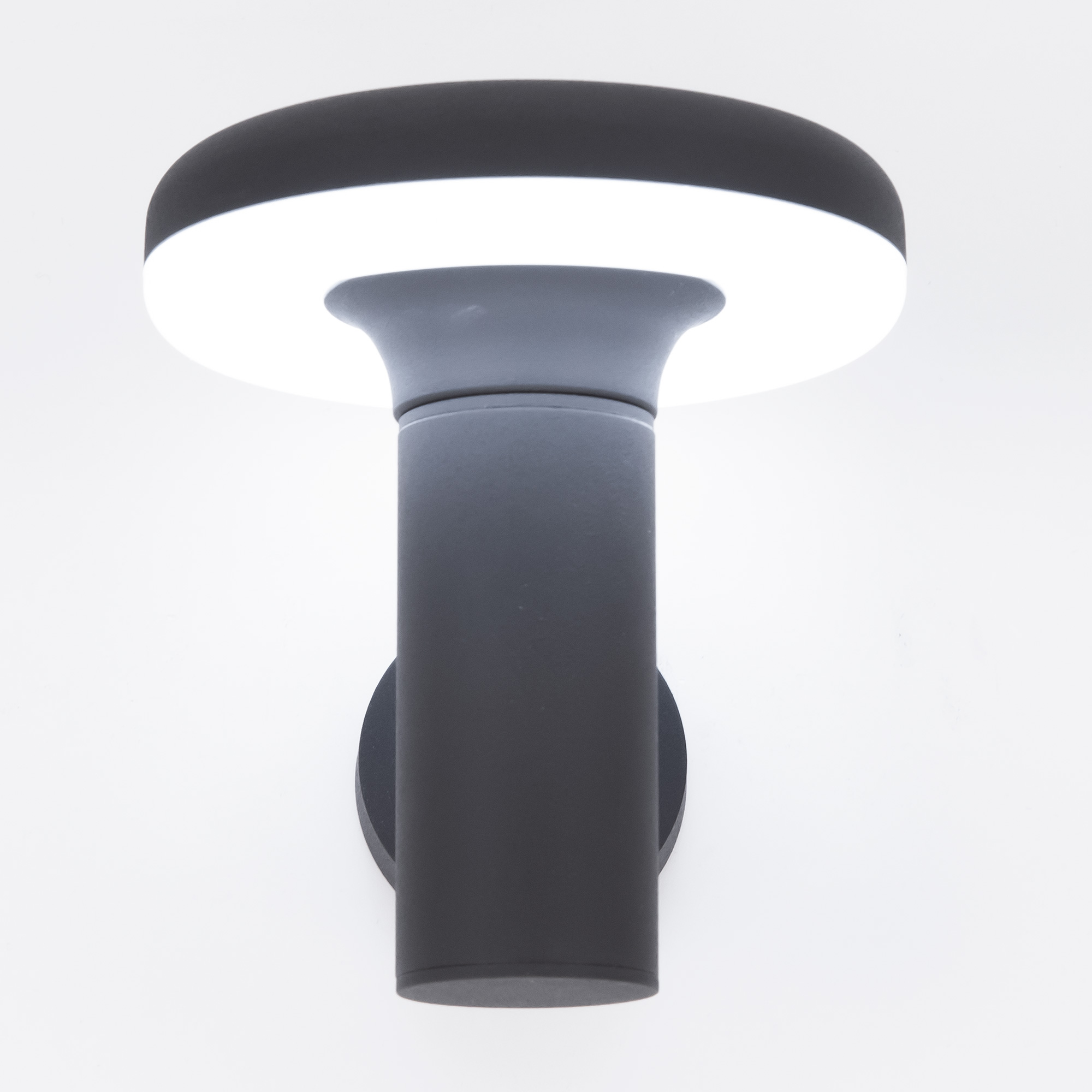 Citilux GARDA CLU01W LED Уличный настенный светильник Графит арт. 88388