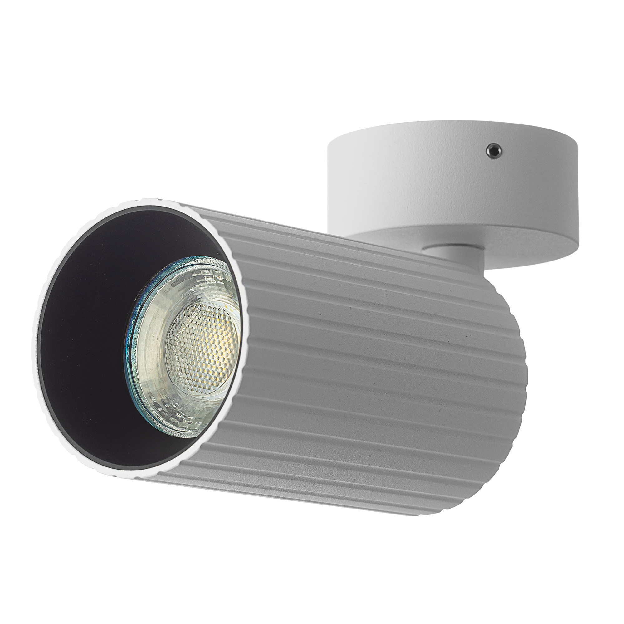 Citilux AXEL CL512210R Накладной поворотный светильник Белый Рифлёный арт. 124958