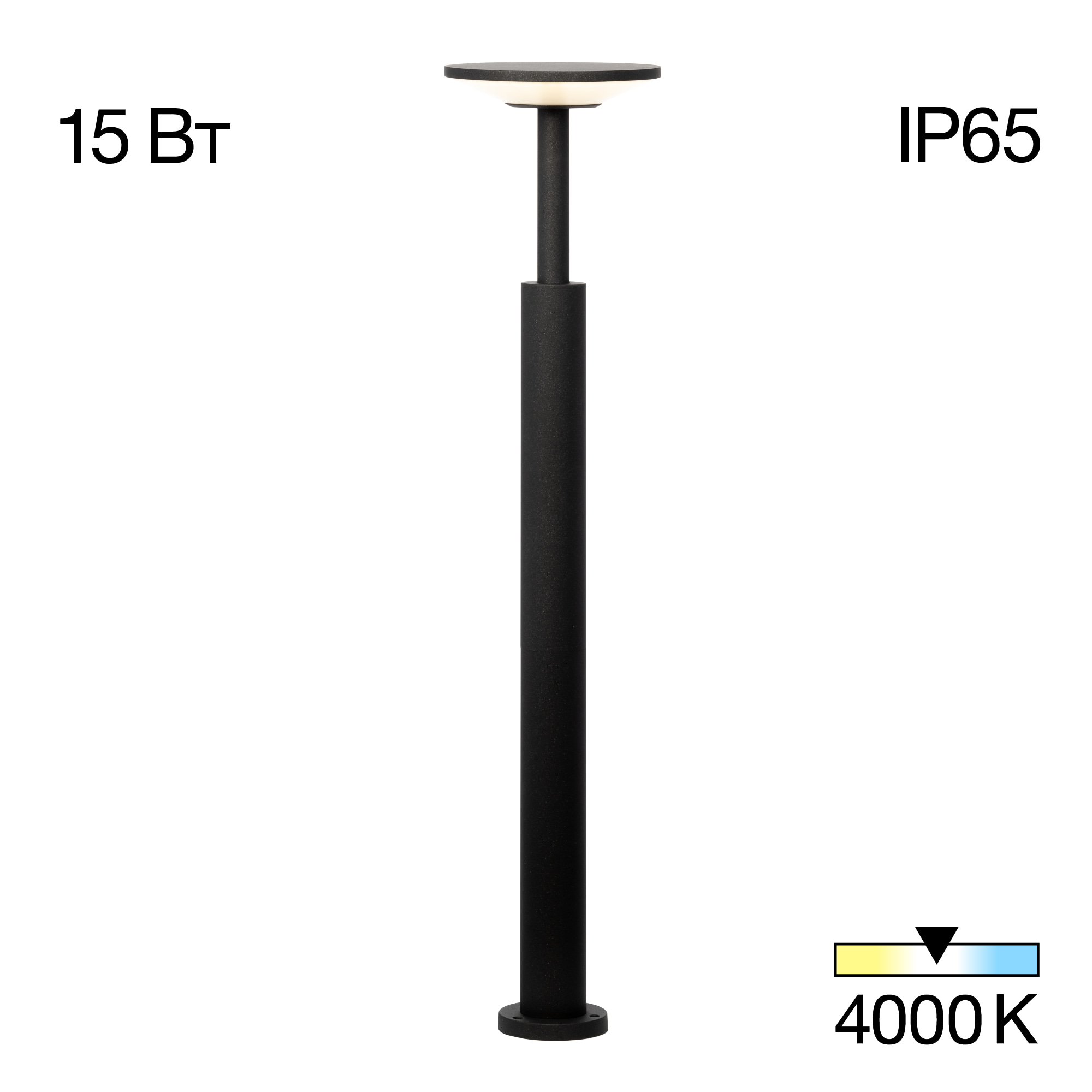 Citilux Dorn CLU05B LED Уличный парковый светильник Графит арт. 89159