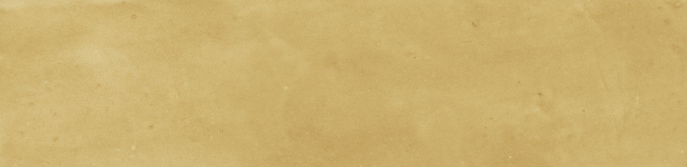 HARMONY SAMIRA GOLD 6х24.6 Q-45 арт. 62458