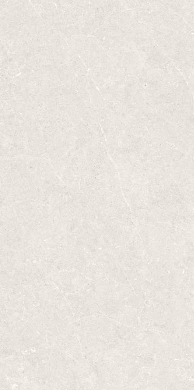 BERGSTEIN LIGHT MATT 60X120 Artech арт. 87640