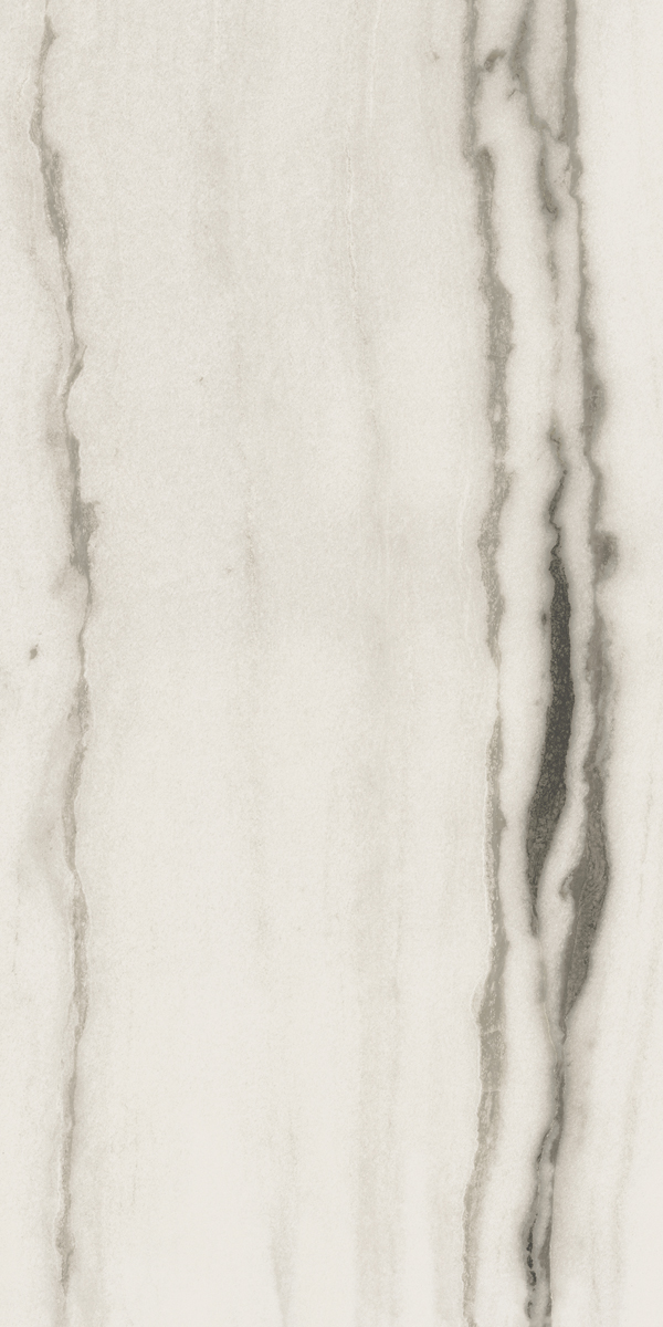 Керамогранит PREXIOUS REX WHITE FANTASY MAT 60X120 R арт. 83780