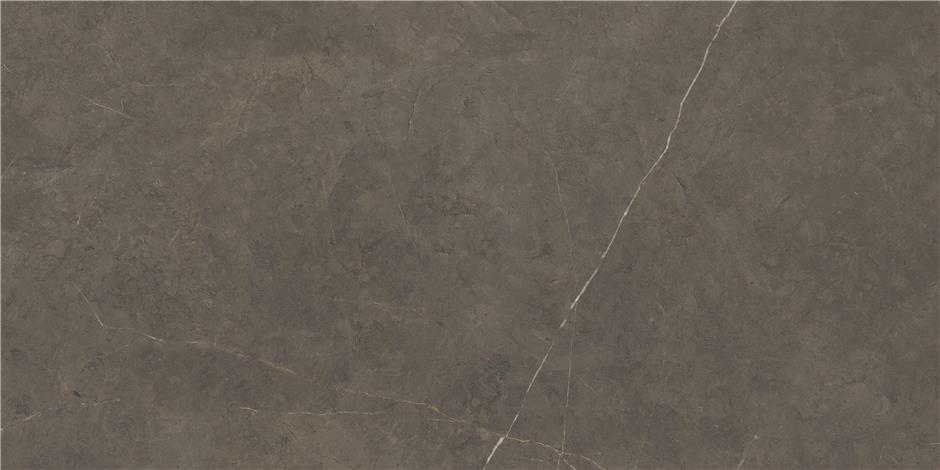 NORTHON TAUPE 60X120 PULIDO арт. 58342