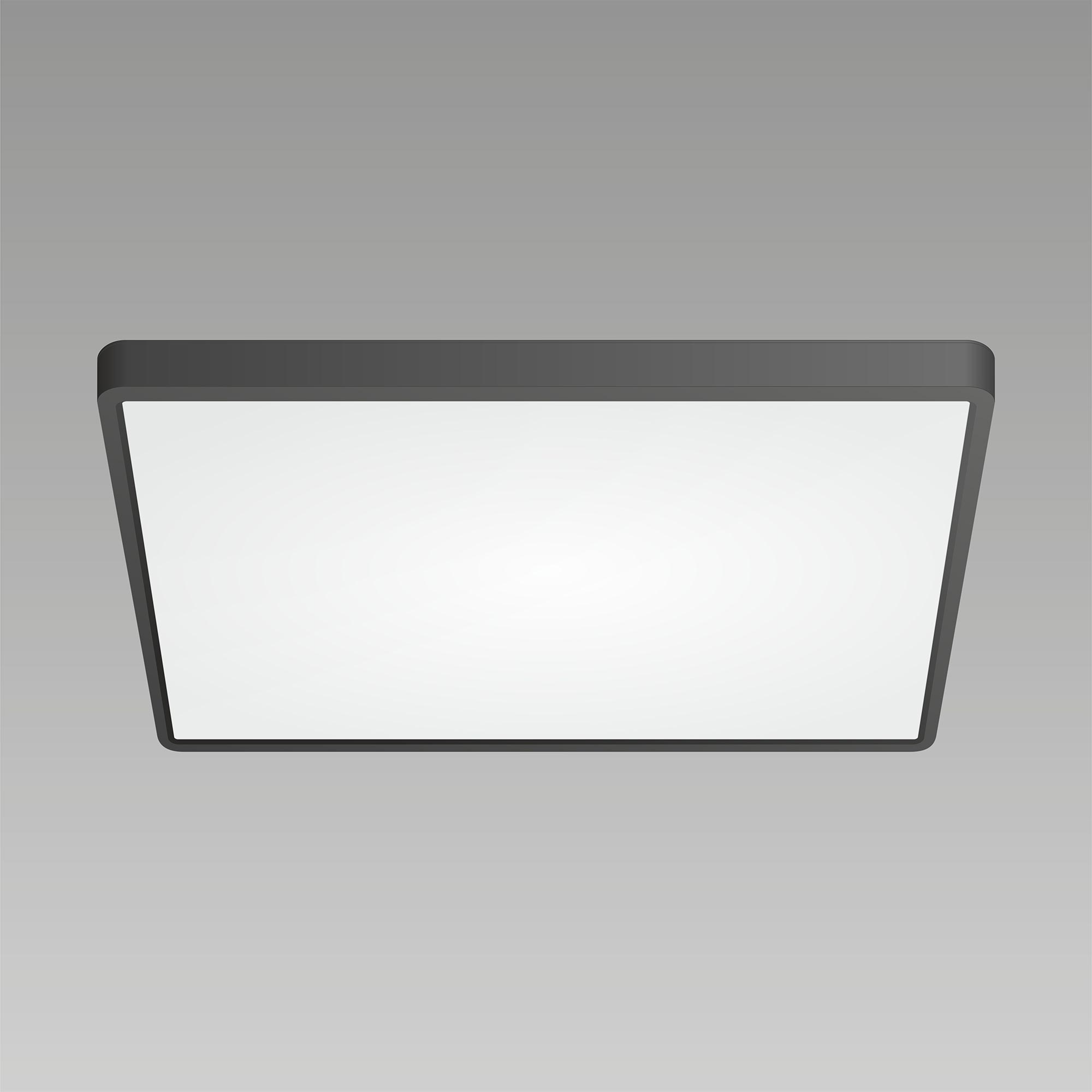 Citilux Бейсик CL738K501V Светильник накладной Чёрный арт. 88542