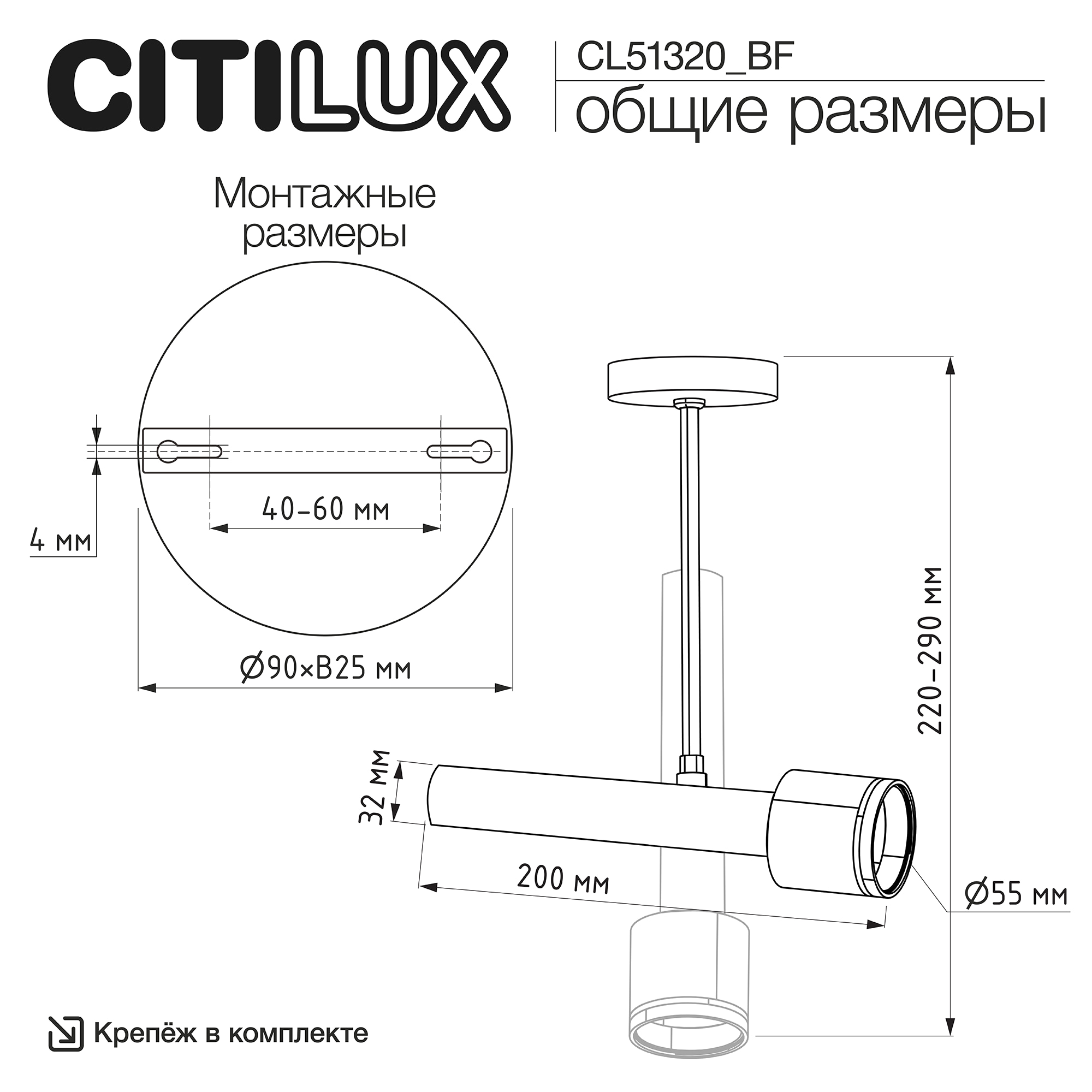 Citilux VEKTOR CL51320_BF Потолочный светильник на штанге Белый 20см арт. 209841