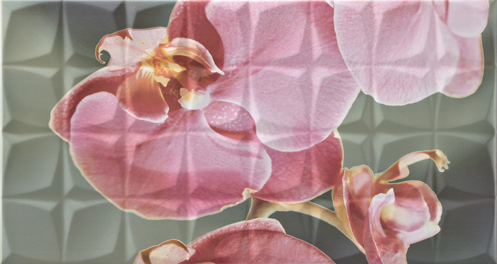 Dec. Orchid B Rosa RSA Декор 31,6x59,34 арт. 22348