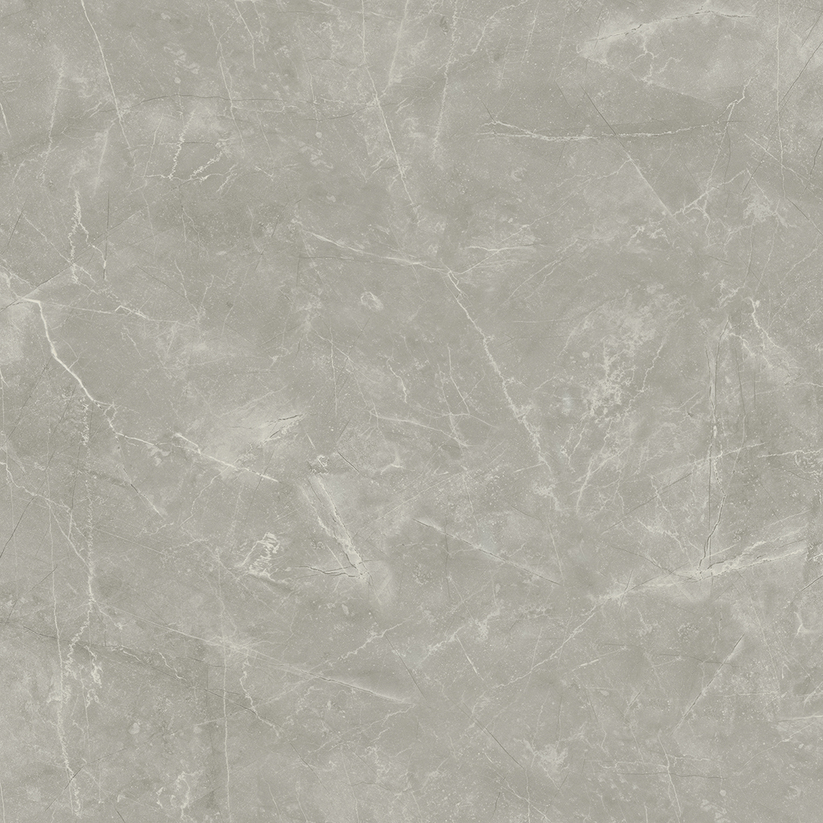 Wolf Grey Керамогранит 80х80 Сатинированный арт. 20630