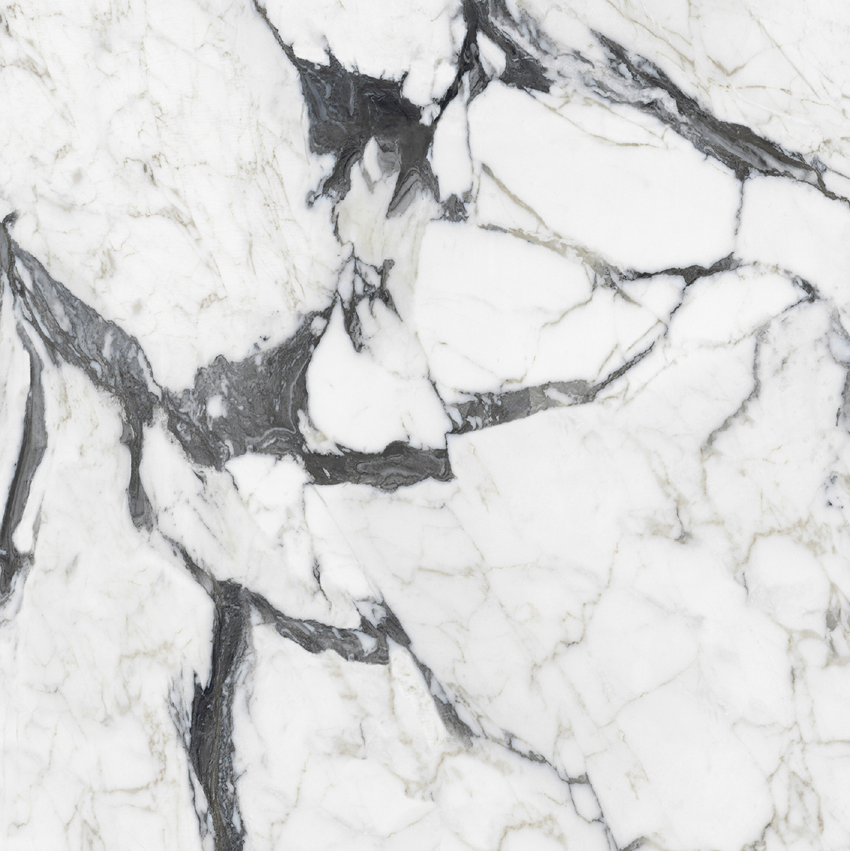 Керамогранит BIJOUX CALAC ALTISSIMO MAT 6MM R	120X120 арт. 83901