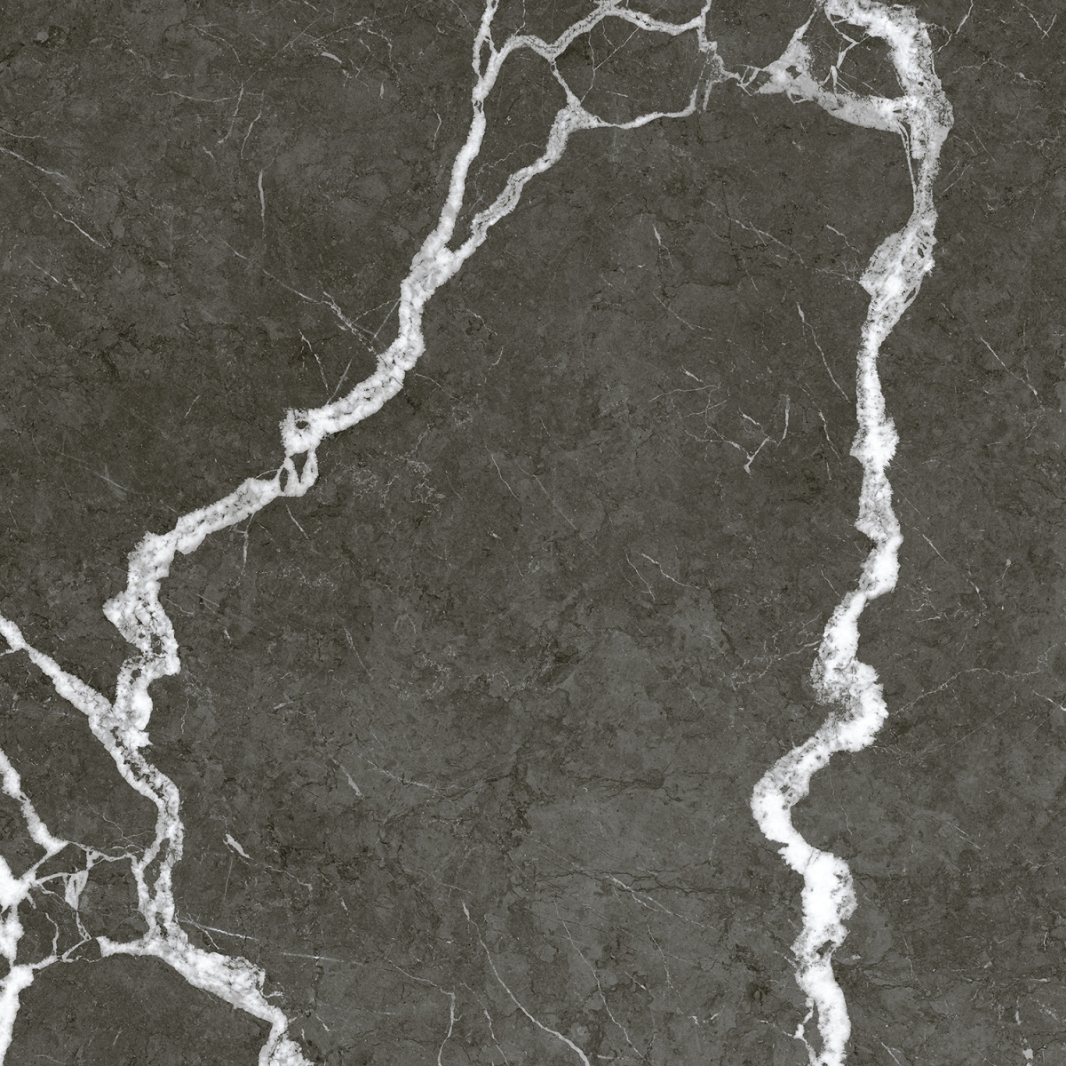Coliseum Michelangelo Керамогранит Dark 60x60 натуральный арт. 114386