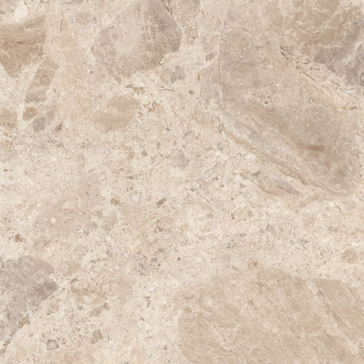 Керамический гранит  ERA BLOOM. TAUPE NAT R120X120 арт. 126252