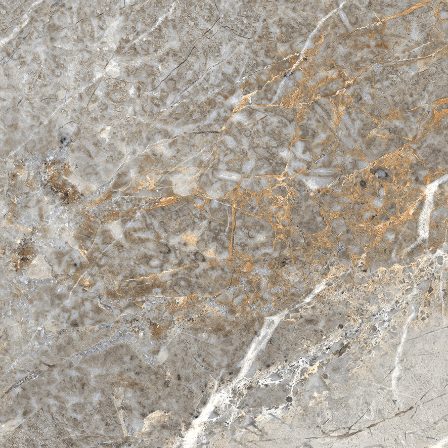 Fantastico Grey Granito Керамогранит 60х60 Полированный арт. 25298
