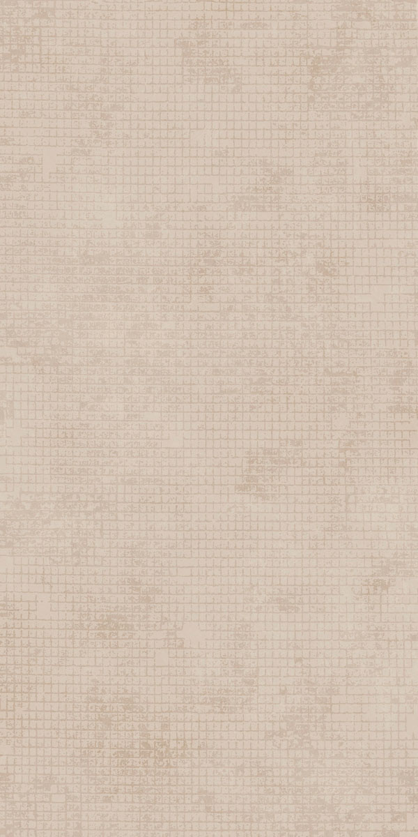 Керамогранит MIND COLOR PLASTER MARKS MOL.RET.60X120 арт. 89940