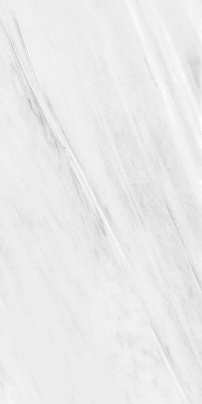 BIANCO LASA SQ.LAPP. 60X120 арт. 79456