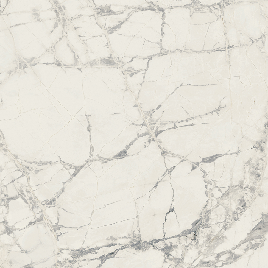 Керамогранит PREXIOUS REX MOUNTAINTREASURE MAT 10MM 80X80 R арт. 83824