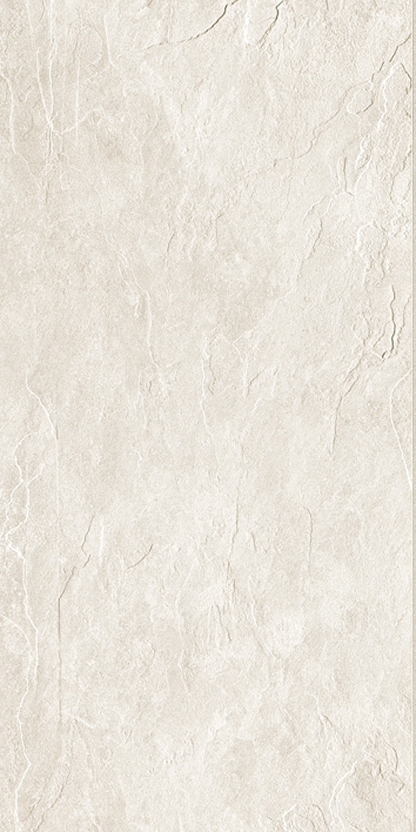 Керамогранит ARDOISE BLANC NAT 60x120 RET арт. 84653