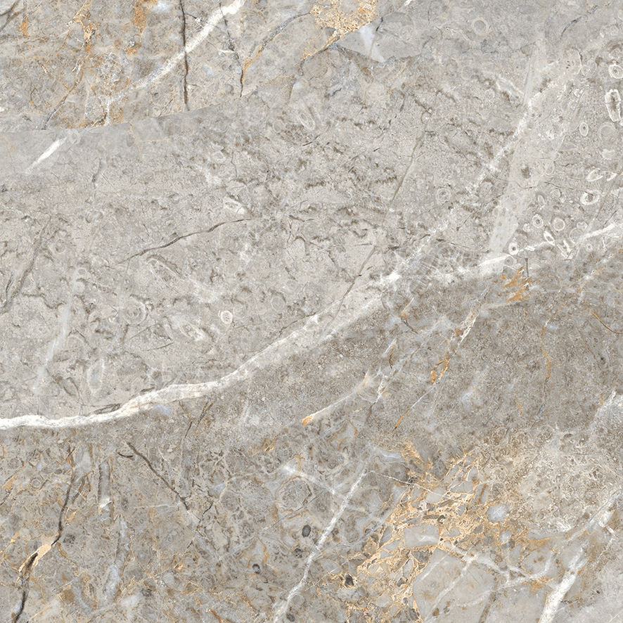 Fantastico Grey Granito Керамогранит 60х60 Матовый арт. 25986