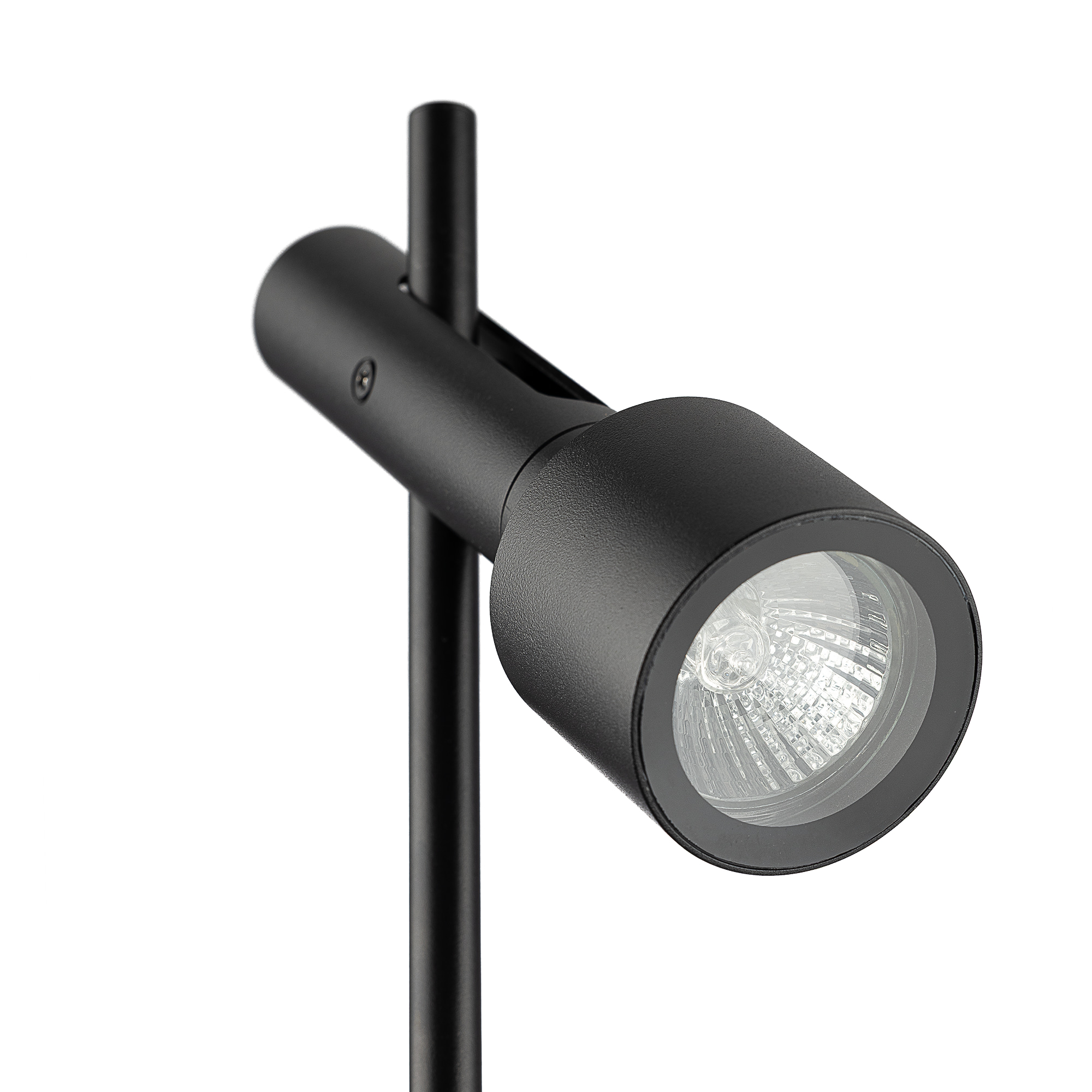 Citilux SPOTTER CLU11B1 Ландшафтный поворотный светильник Чёрный арт. 89813