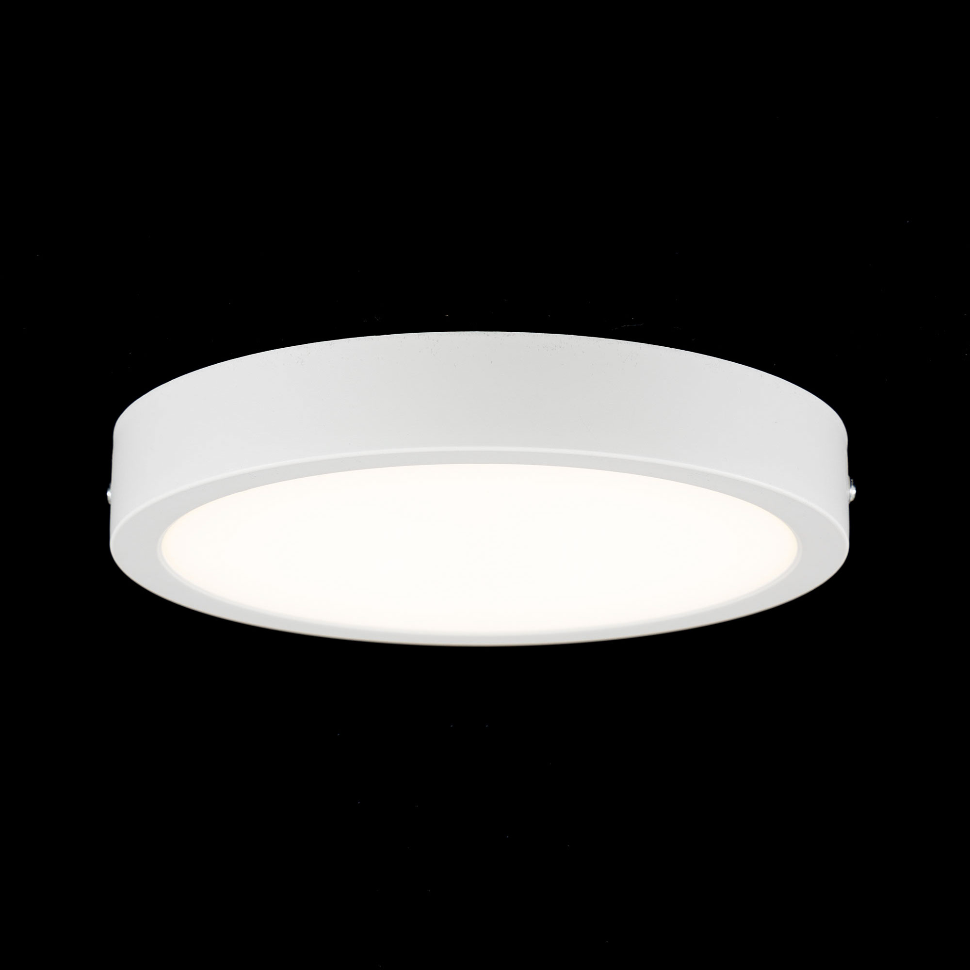 Citilux Галс CL5522N Светильник накладной светодиодный арт. 88922