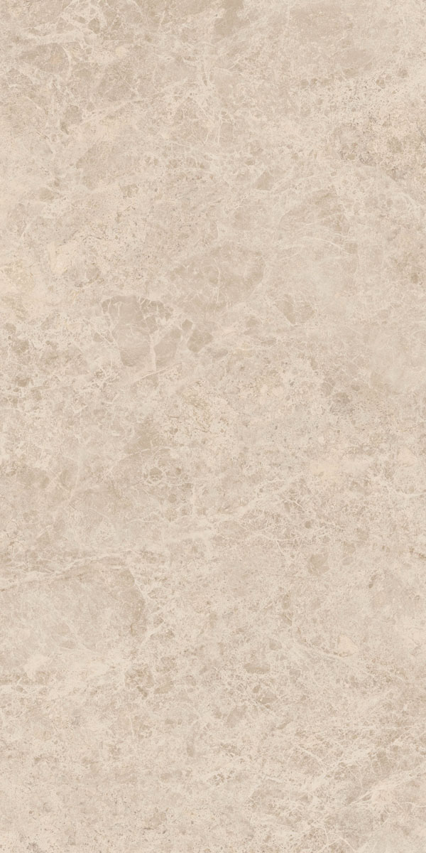 Керамогранит ERA DELIC. TAUPE NAT R60X120 арт. 126200