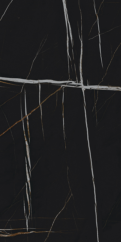 ШАР.ДЕЛ.САХ.НУАР 60X120 CER арт. 79025