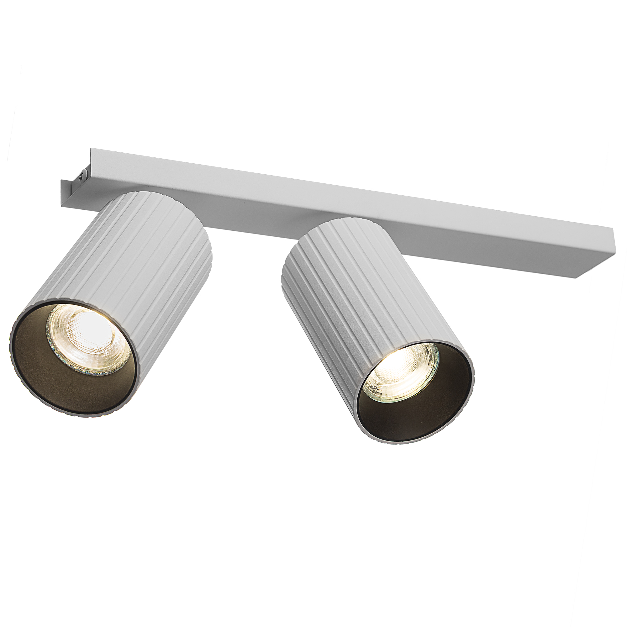 Citilux AXEL CL512520R Спот поворотный двойной Белый Рифлёный арт. 126673