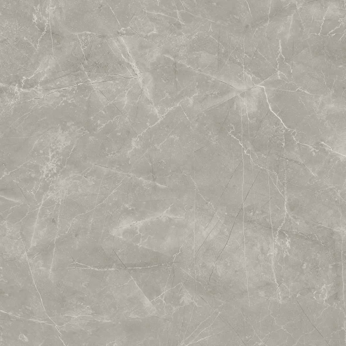 Wolf Grey Керамогранит 80х80 Сатинированный арт. 20630