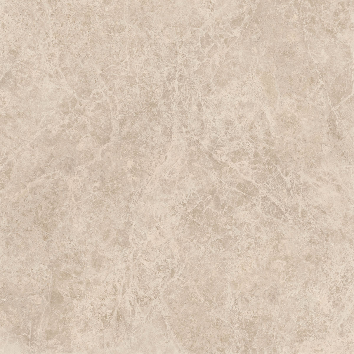 Керамический гранит  ERA DELIC. TAUPE NAT R120X120 арт. 126248