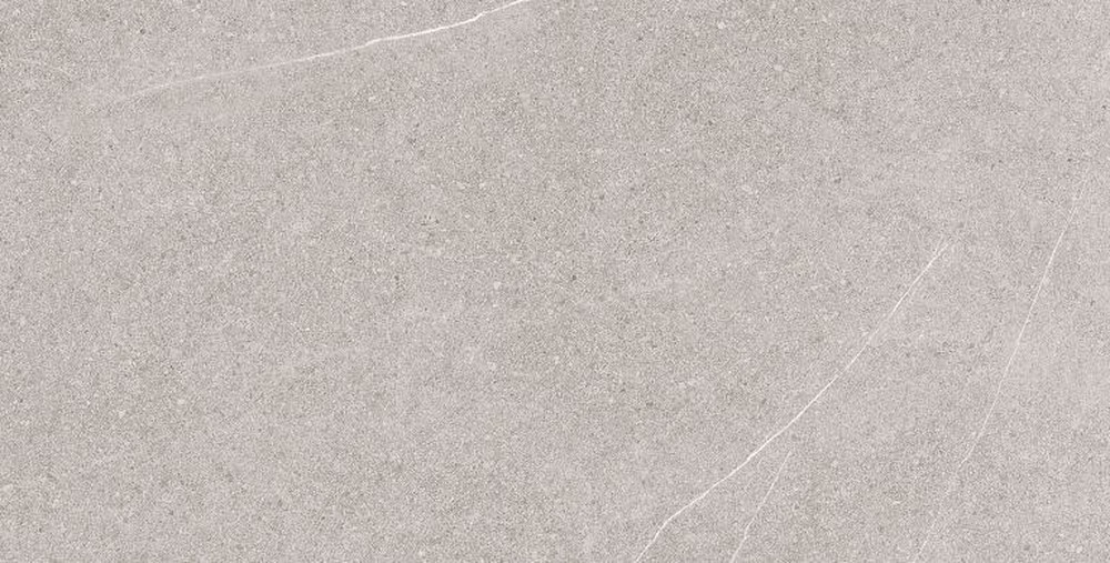 60*120 Samana Light Grey арт. 128463