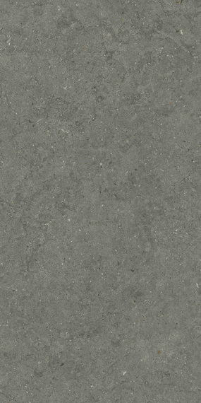 ФОРУМ СТОУН АЙРОН 60X120 арт. 80710