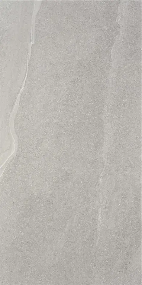 AUSTRAL GREY MT 60X120 арт. 74069