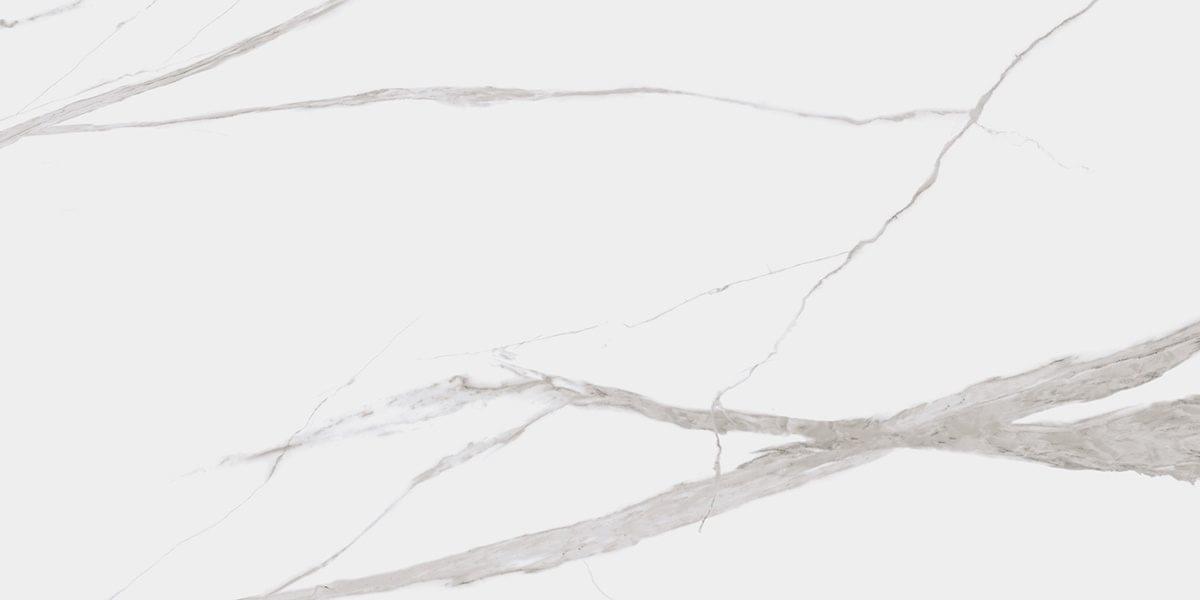 Dogma Project Antibacterial Керамогранит Calacatta Levigato 60x120 полированный арт. 70916