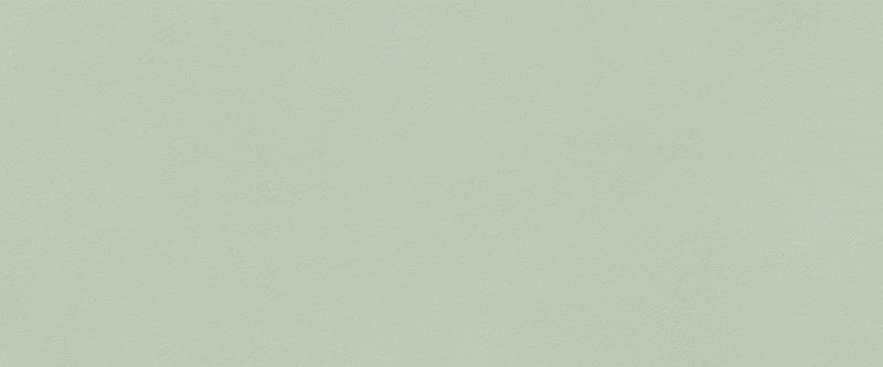 TRUE COLOR 50X120 MATCHA MATT арт. 80395