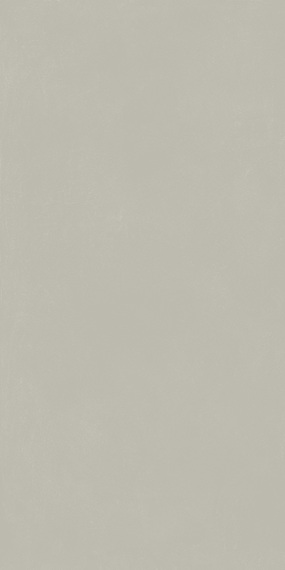 ФОРУМ СЛИМ СИЛЬВЕР 60X120 арт. 80695