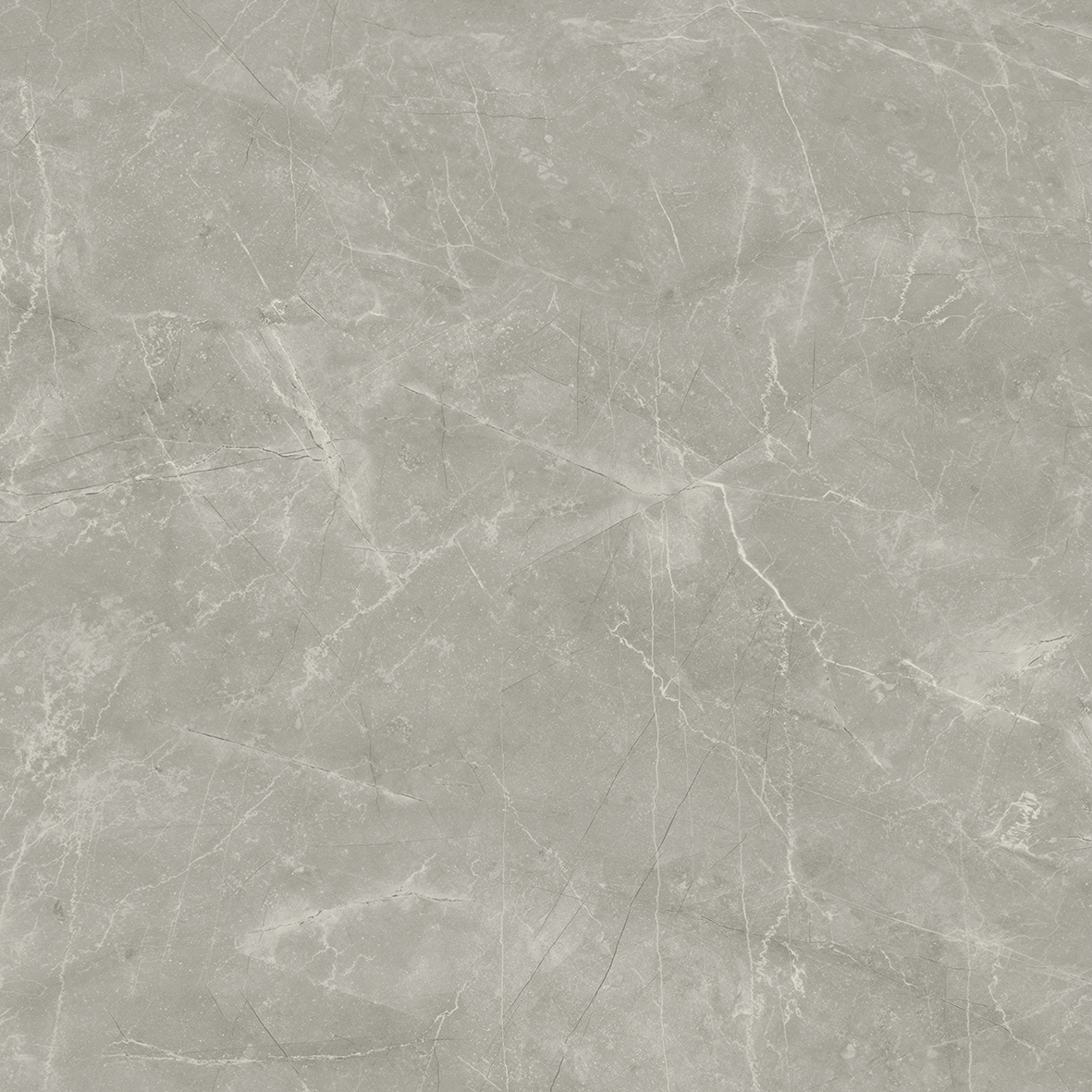 Wolf Grey Керамогранит 80х80 Сатинированный арт. 20630