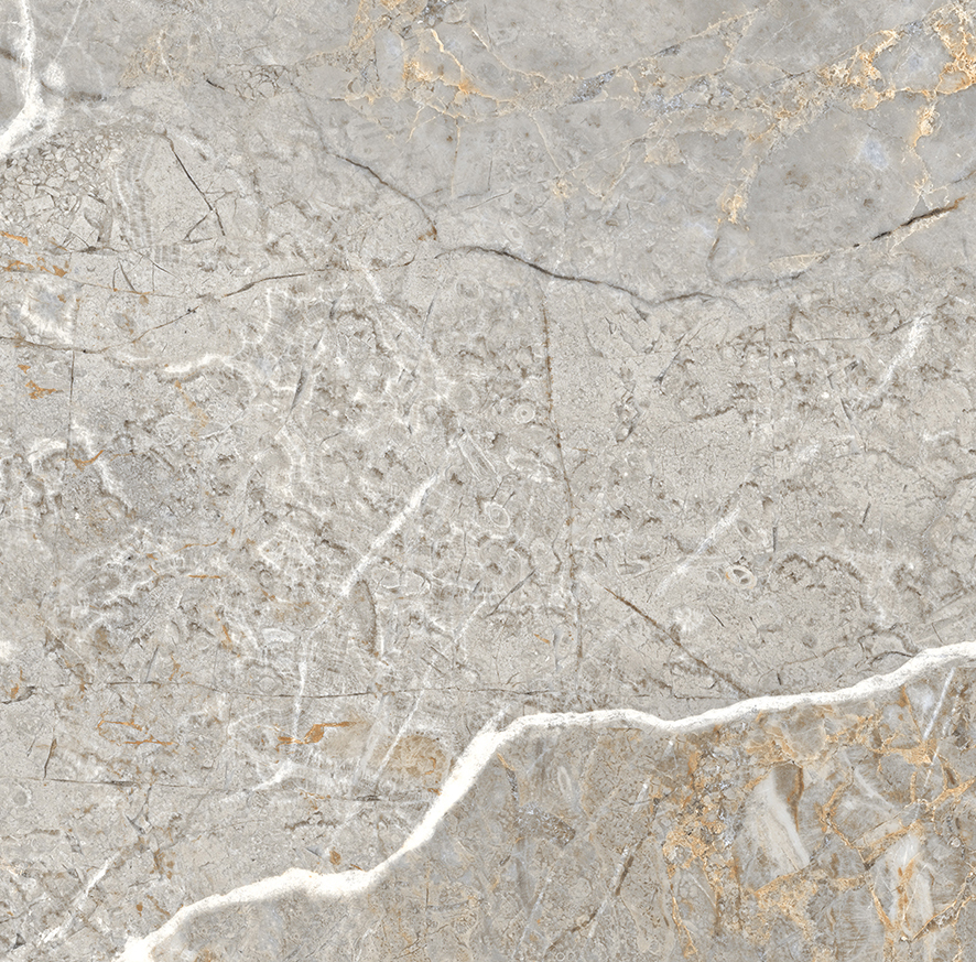 Fantastico Grey Granito Керамогранит 60х60 Полированный арт. 25298
