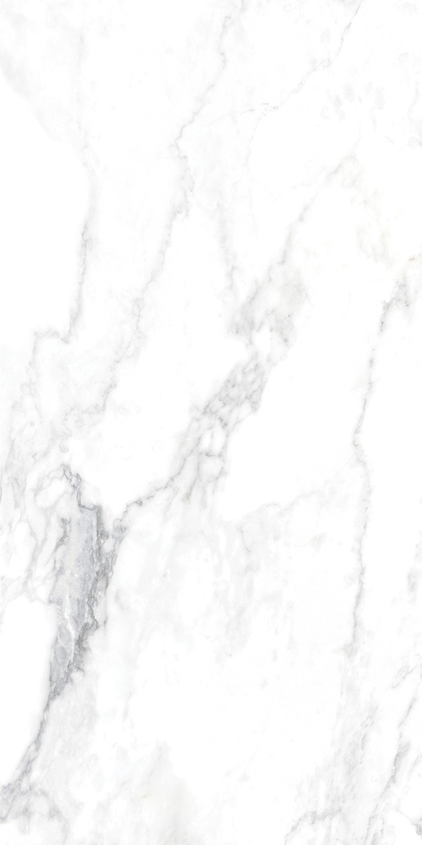 CANOVA ARABESCATO LAP RET 60x120  8,5 мм арт. 71321