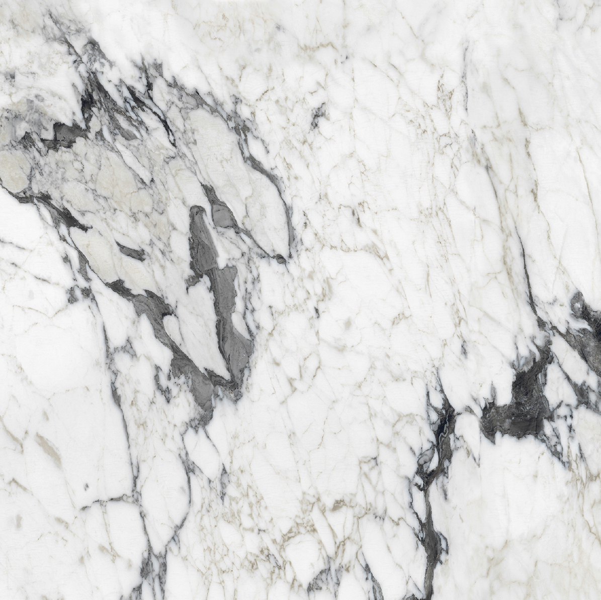 Керамогранит BIJOUX CALAC ALTISSIMO GLO 6MM R	120X120 арт. 83895