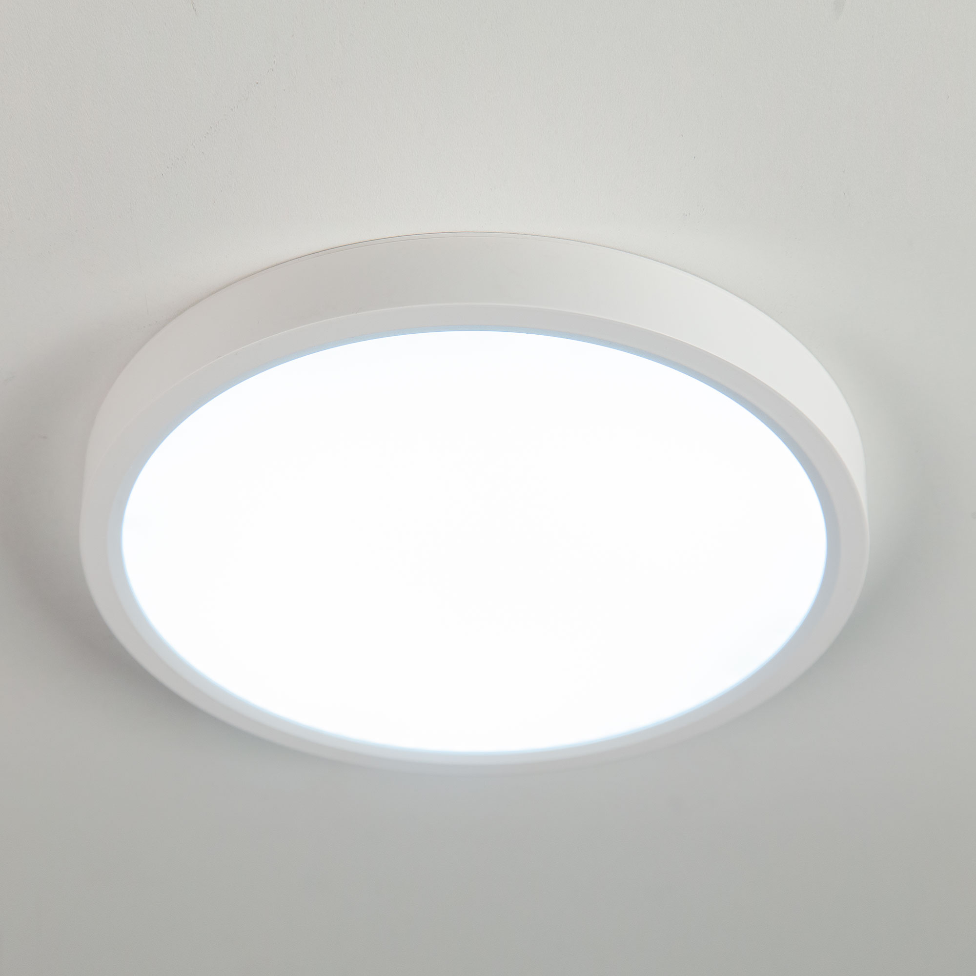 Citilux Бейсик CL738180V Светильник накладной Белый арт. 88460