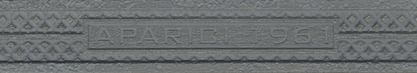 Steel Grey CF-A арт. 78682
