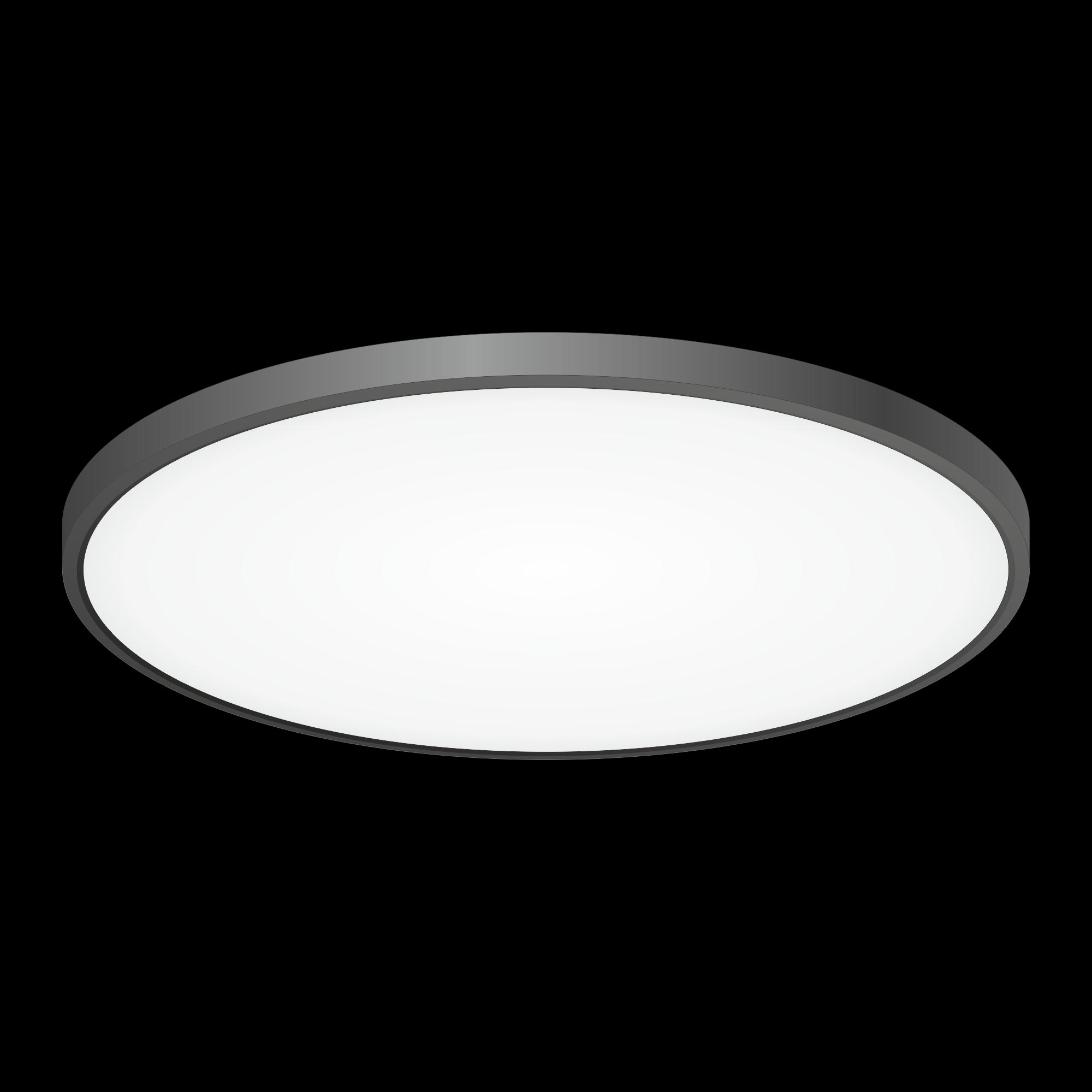 Citilux Бейсик CL738501V Светильник накладной Чёрный арт. 88464