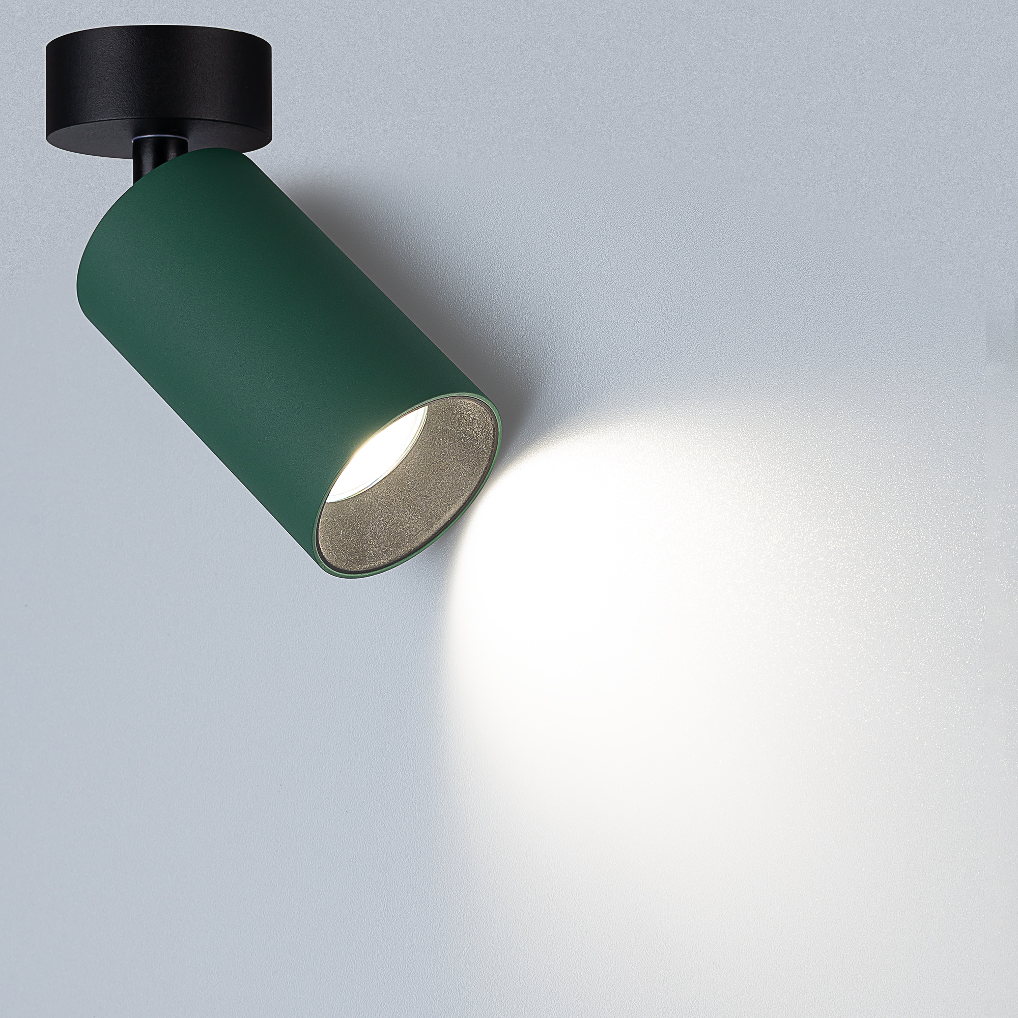Citilux AXEL CL512215 Накладной поворотный светильник Зелёный арт. 129433
