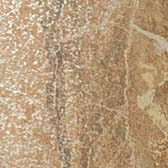 Плитка Привиледж Миеле Вставка 7,2x7,2 Лап (0,098 кв.м.) арт. 52569