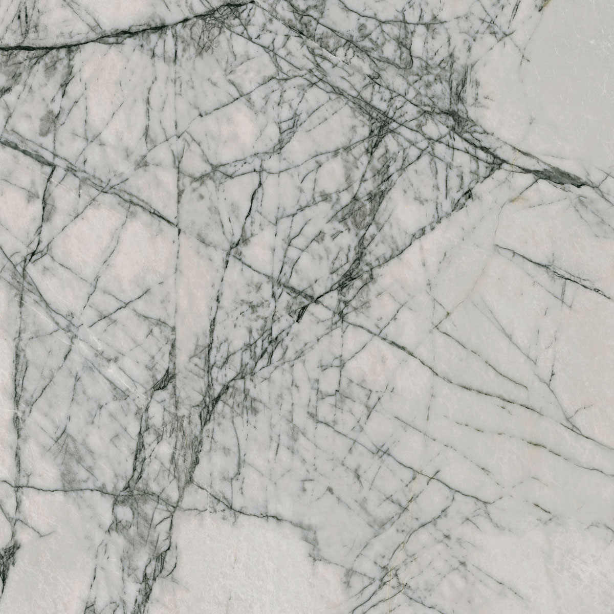 Керамогранит SNS.SIGN.LILAC GREY NAT RET 120X120 арт. 85189