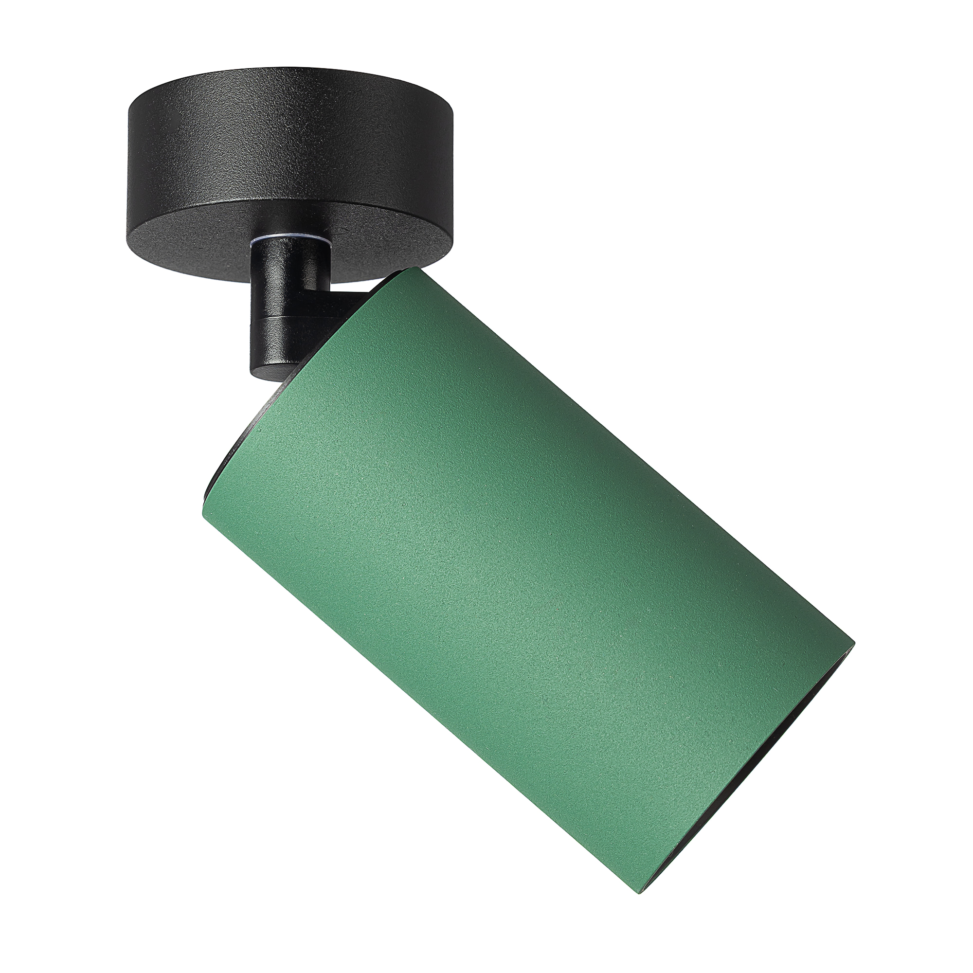 Citilux AXEL CL512215 Накладной поворотный светильник Зелёный арт. 129433